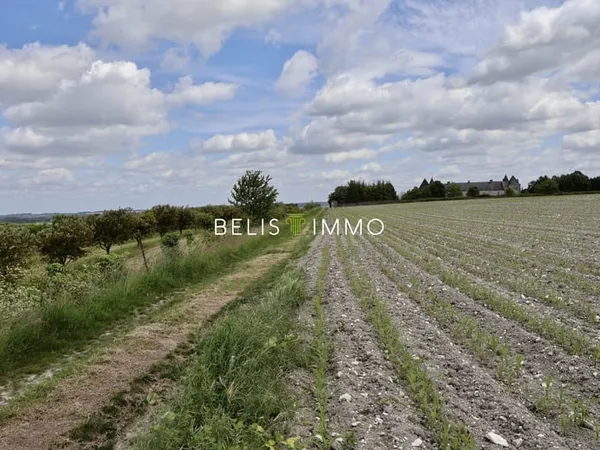 Terres agricoles