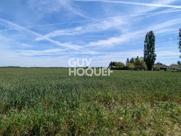 Foncier rare : Votre projet sur mesure ici