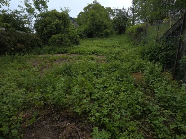 Terrain 1500m2 avec maison Contrexéville