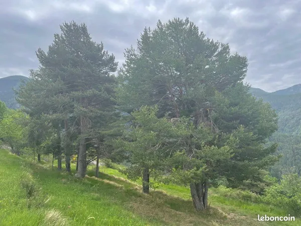 Maison Vente Tende 2p 36m² 120000€