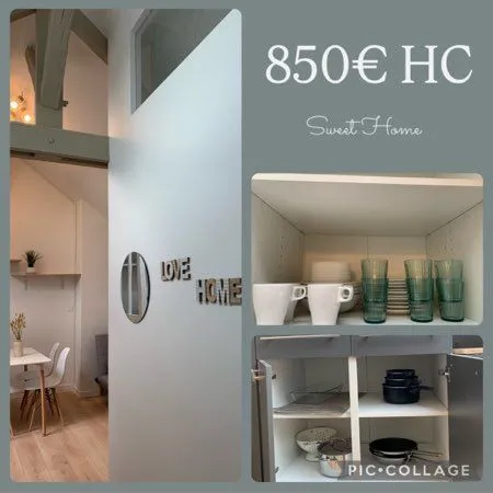 Appartement meublé lumineux et atypique - 3 chambres