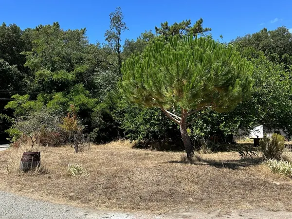 Terrain 650 m²