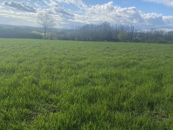 Terrain 5182 m² Saint-Salvi-de-Carcavès
