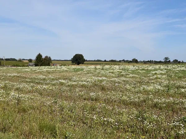 Terrain 998 m²