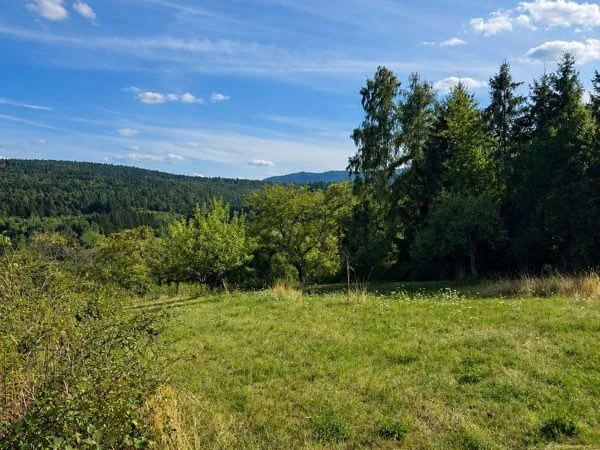 Terrain d'exception constructible de 20 ares - Orientation Sud - Vue imprenable sur les Vosges