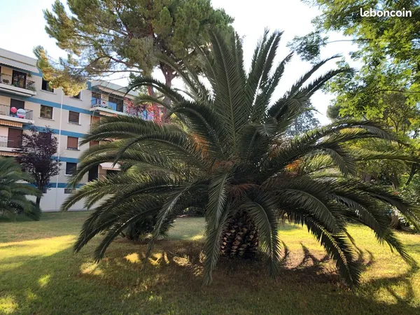 T6 de 112 m² rénové & meublé - Montpellier (Père Soulas)