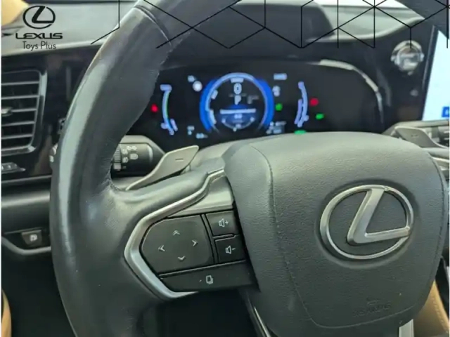 Lexus Nx 450h+ 4wd executive — photo 19