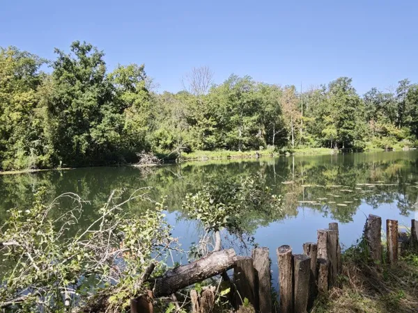 Terrain 1982 m²