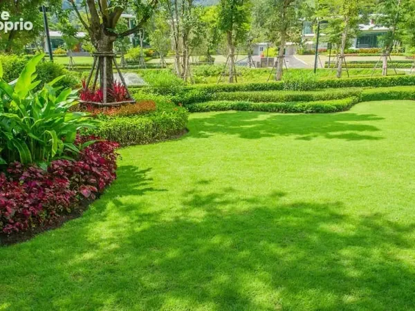 Terrain 495 m²