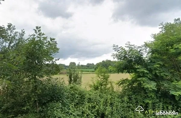 Terrain boisé