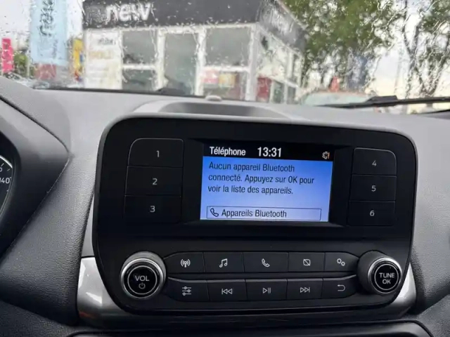 Ford Ecosport 1.0 ecoboost 125ch s&amp;s bvm6 — photo 31
