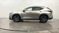 Lexus Nx 350h Executive 4WD MY24 — photo 7