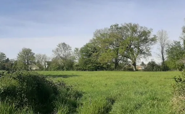Terrain 314 m²