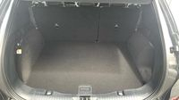 Ford Kuga 2.0 EcoBlue 120ch BVA 4X4 Titanium X — photo 14