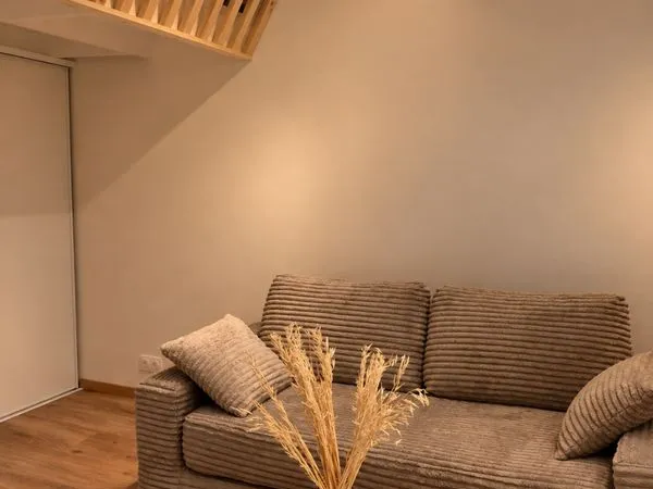 Appartement Duplex 30m2 hors carrez hyper centre