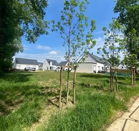 Terrain 362 m² Pluvigner