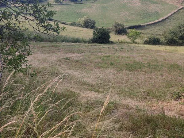 Terrain viabilisé avec CU