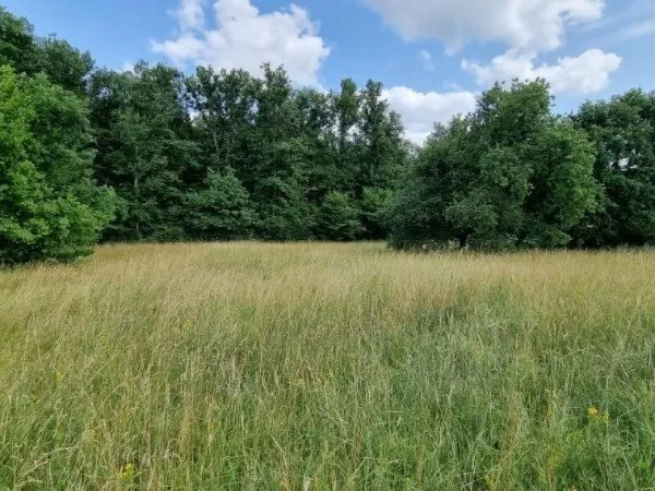 Terrain a batir 886 m² Viabilisé Charmeil à 3 mn de Vichy