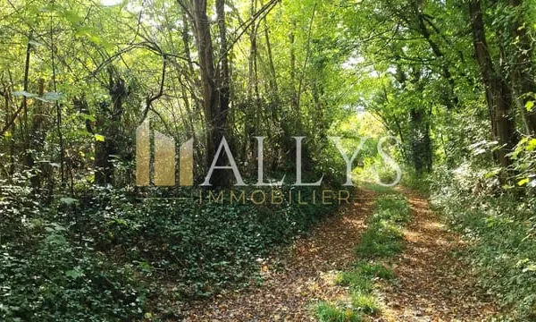 Terrain forestier de 5ha