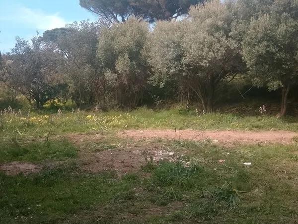 Terrain a vendre