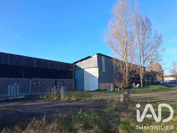 Local commercial 1 pièce 1431 m²