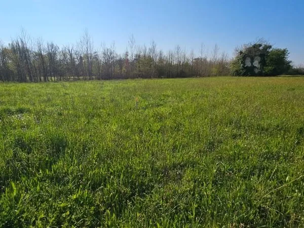 LAFOX 47240 Terrain constructible 982 m2
