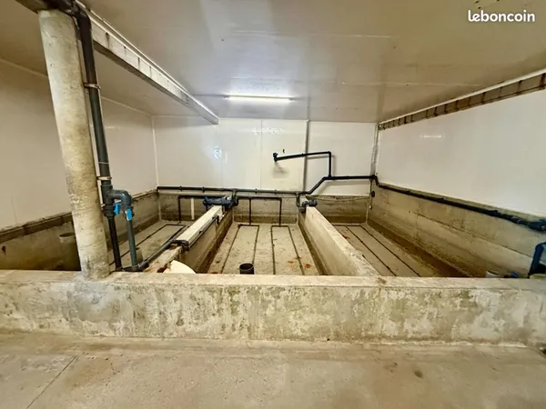Local industriel 250 m²