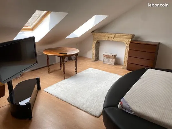 Appartement 1 pièce 46 m²