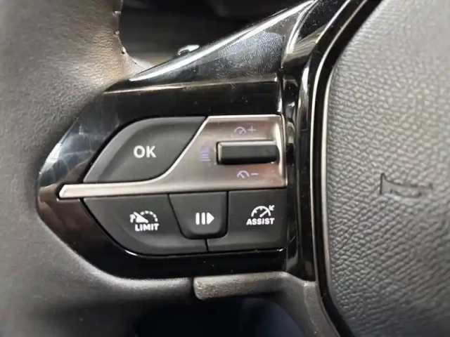 Peugeot 308 sw bluehdi 130ch s&amp;s eat8 — photo 15