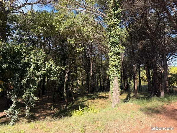 Terrain à bâtir de 1800 m2