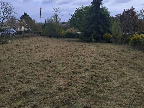 Terrain arboré