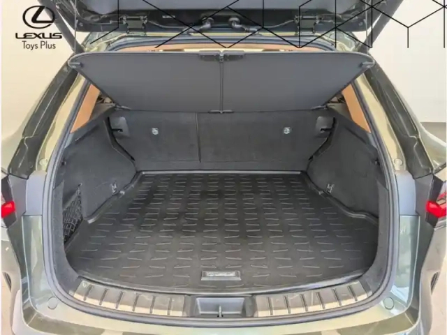 Lexus Nx 450h+ 4wd executive — photo 10