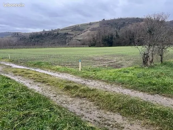 Terrain agricole à vendre - Chavanay (42410)