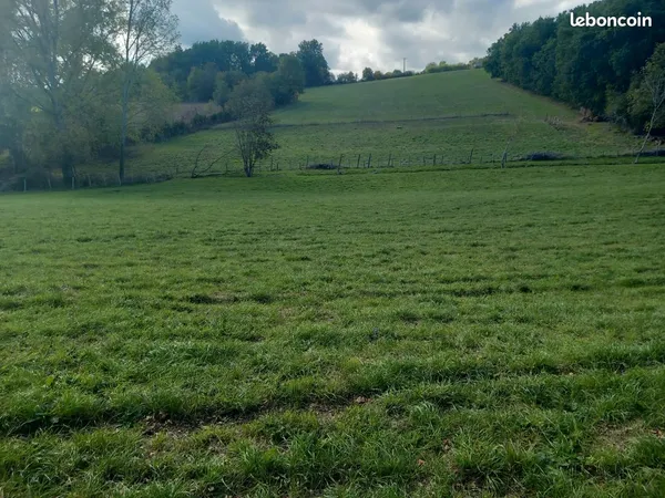 Terrain agricole
