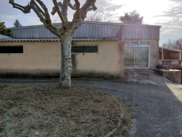 Local commercial 355 m²