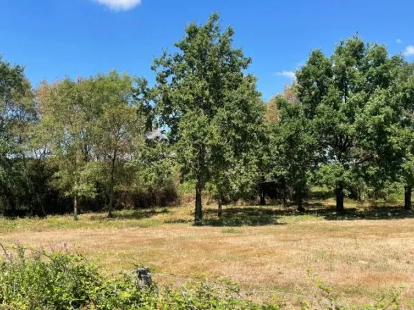 Terrain 422862 m²