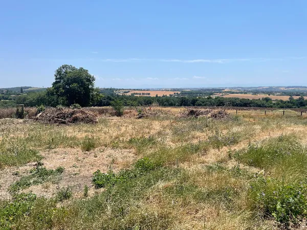 Terrain 1000 m²