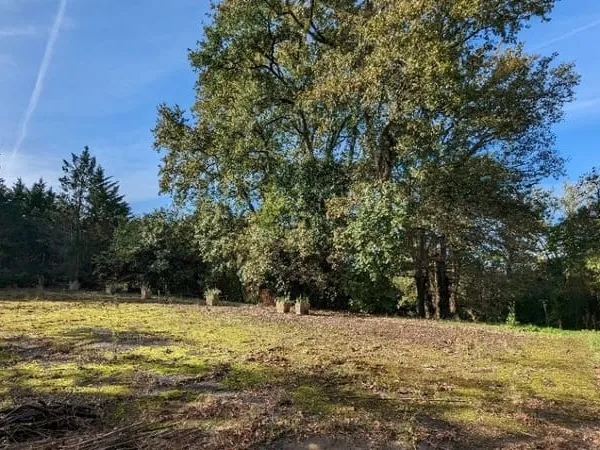 Terrain 1400 m²