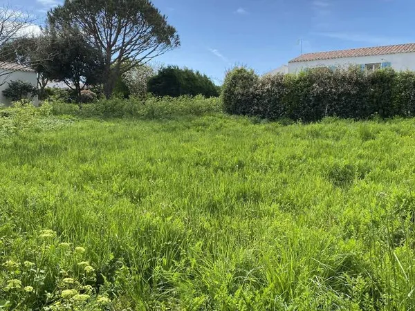 Terrain 1000 m²