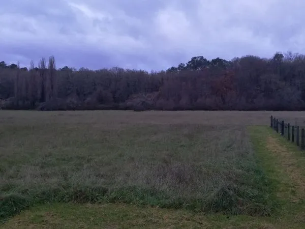 Terrain à bâtir