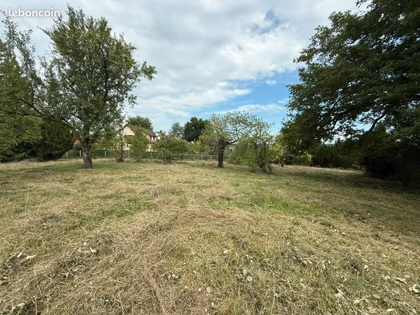 Terrain constructible