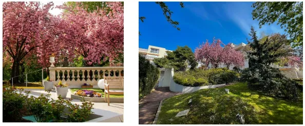 Loue bel appartement dans une résidence senior de qualité 46m² Nogent-sur-Marne
