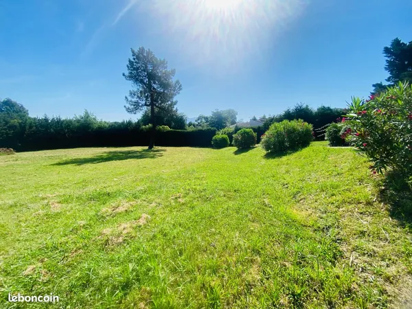 Terrain 2000 m² Céret