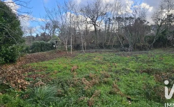 Terrain 3703 m²