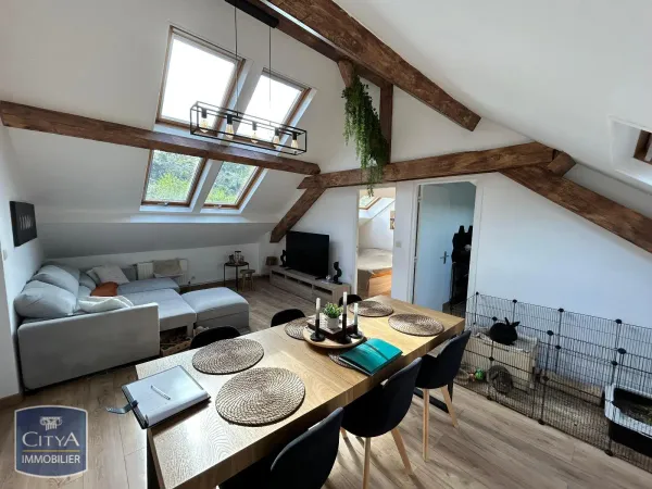 Appartement 1 pièce 51 m²