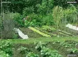 Location jardin