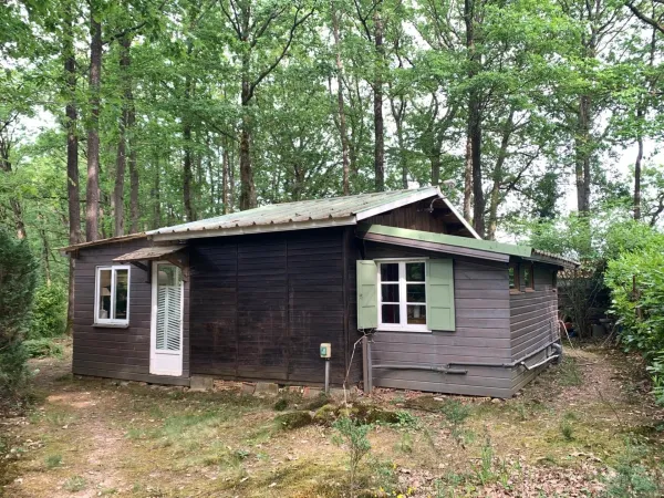 Chalet 45m² en camping à SAINT CHERON (91)