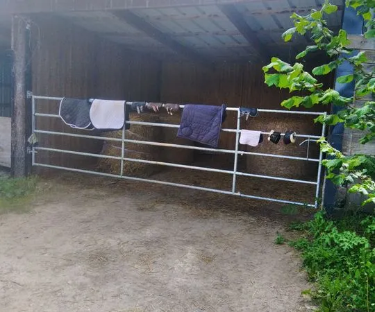Studio de 45m2 à louer sur Ouilly-du-Houley