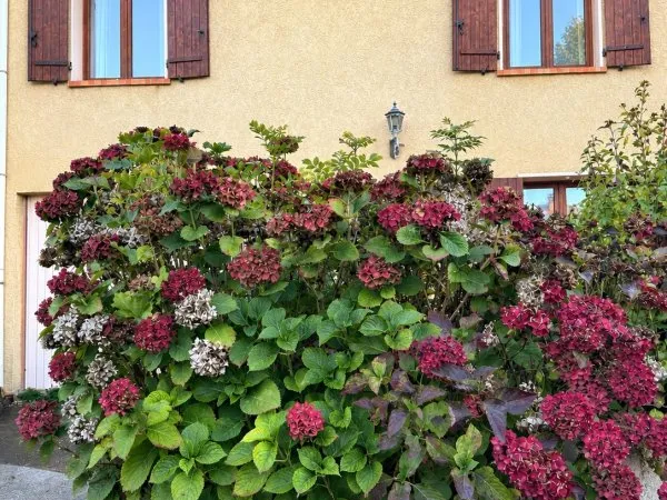 Maison 5 pièces 91 m²