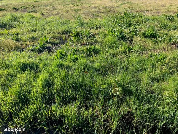 Terrain 800 m² Port D Envaux